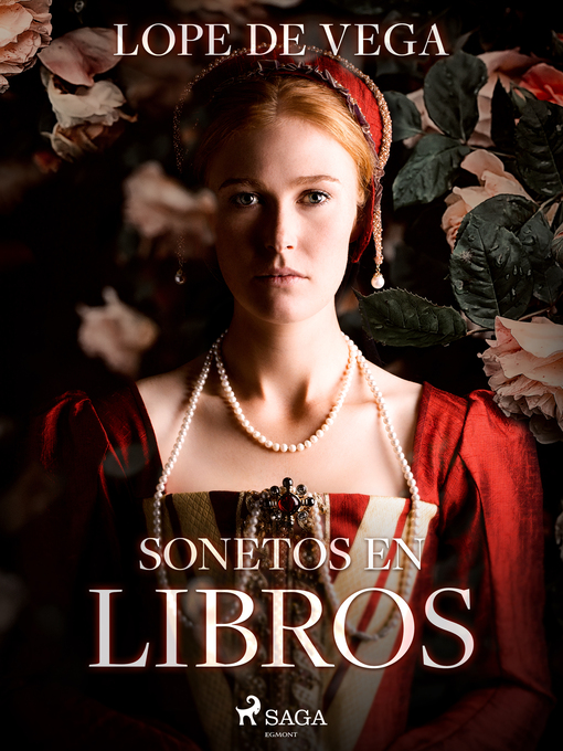Cover image for Sonetos en libros